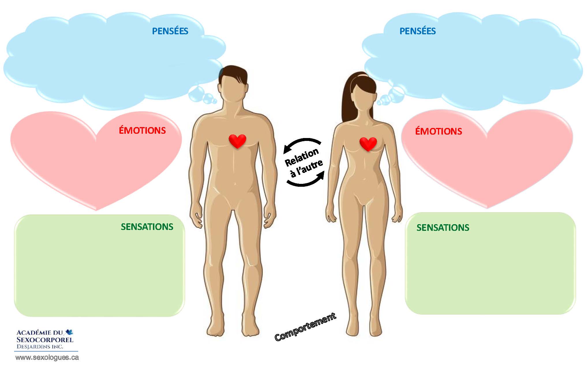 Dynamiques relationnelles HOMME-FEMME