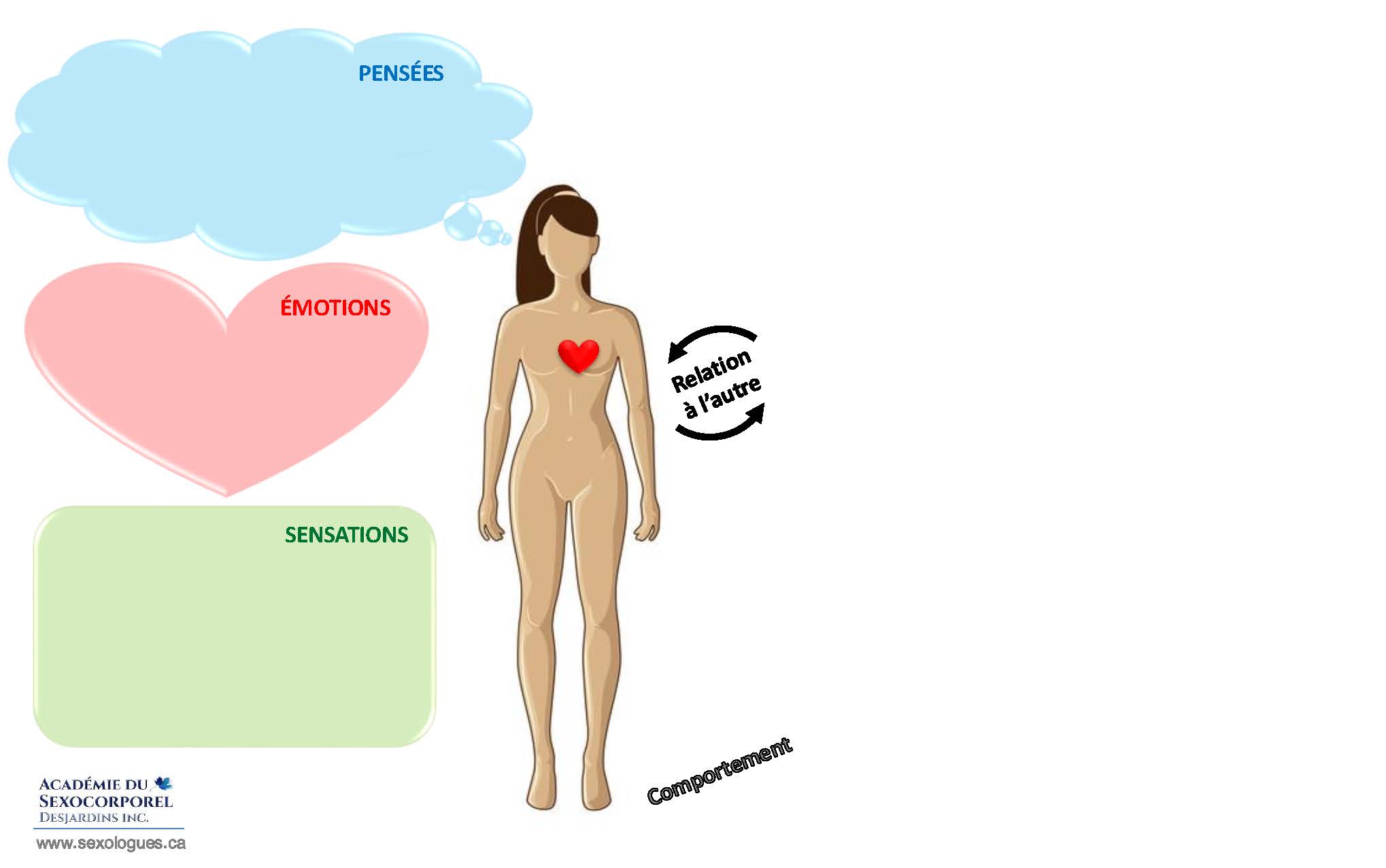 Dynamiques individuelles FEMME (Pensées/émotions/sensations)