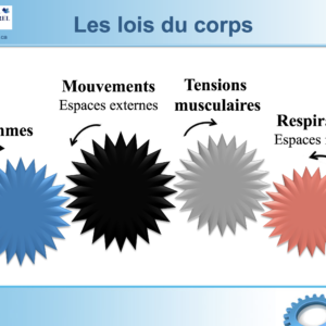 Les lois du corps
