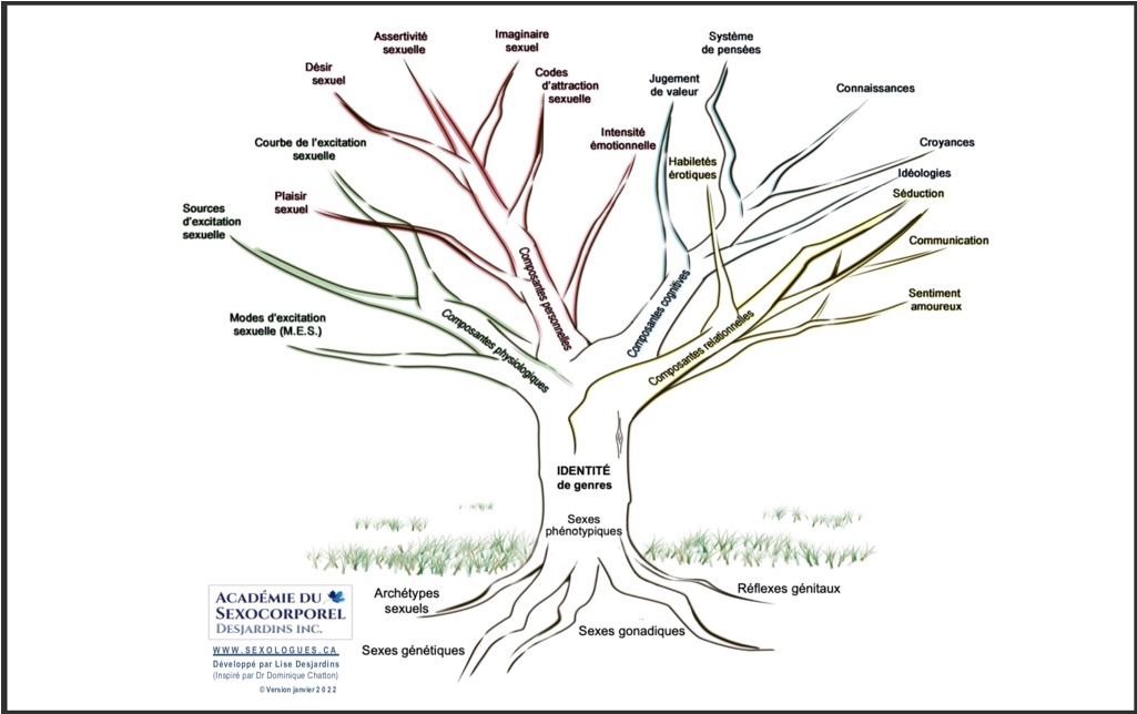 ARBRE- Poster plastifié ( 18 x 24 pouces / 45,7 x 61 cm )