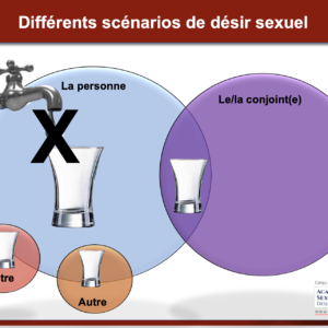 Les dynamiques du désir sexuel